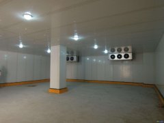 建造一個700噸中型冷庫造價及圖片